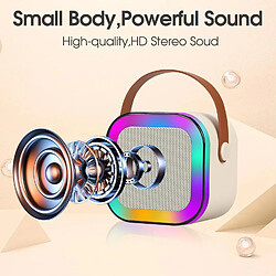 Acheter Yonis Mini Enceinte Bluetooth Portable Karaoké