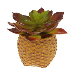 Avis Artificial Succulent Réel Tactile Snow Lotus Feuille Feuillage D'automne Couleur