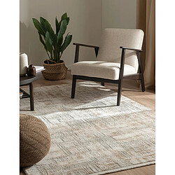 Avis Hadorn Tapis 305x240 beige Davos Miracle