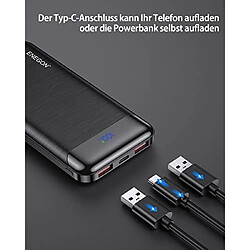 SANAG Kit Di Ricarica Portatile Batteria Esterna Da 10000 Mah Con Caricatore Rapido Da 20 W, Cavo Usb-C E Doppia Porta Usb C In&Out, Compatibile Con Iphone, Samsung, Ipad, Xiaomi E Altri.