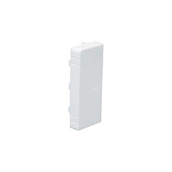 embout goulotte - 100 x 60 - blanc - ta-e/g - iboco 00874