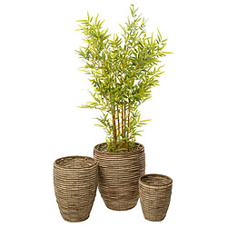 Set de pots de fleurs Romimex Naturel Fibre naturelle 40 x 49 x 40 cm 3 Pièces