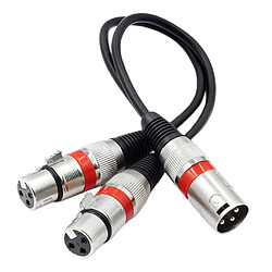 Avis Adaptateur De Microphone Xlr Y-cable Câble Audio De Mixage 3 Broches Flexible Argent