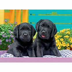 Ludendo Puzzle 300 Pièces XXL Ravensburger - Labradors Noirs