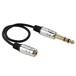 Wewoo Adaptateur Audio Câble Femelle Jack 6.35mm Mâle vers Jack 3,5 mm, Longueur: 30cm