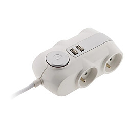 Bloc Premium 4x 16A 2P+T avec interrupteur - câble HO5VV-F 3G1mm² 1,5m + 2x USB équipé d'une fiche extraplate blanc - Zenitech