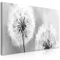 Artgeist Tableau - Fluffy Dandelions (1 Part) Grey Wide [100x45]