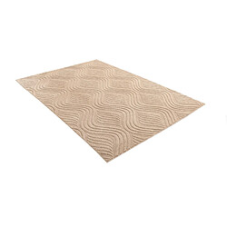 Vidal Tapis de laine 231x157 brun Darya