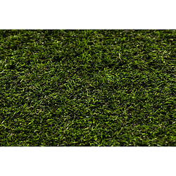 Acheter RUGSX GAZON SYNTHÉTIQUE FORESTLAND dimensions standards 300x350 cm