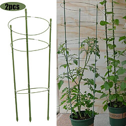 2pcs Plante Escalade Support Cage Treillis Fleurs Pieu Cadre W / 3 Anneaux