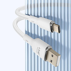 Acheter LinQ Câble USB vers USB C 5A Charge et Synchronisation Longueur 1.2m Blanc