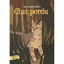 Chat perdu - Occasion