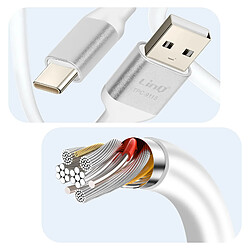 LinQ Câble USB vers USB C Fast Charge 3A Synchronisation Longueur 1.5m Argent pas cher