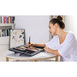 Tablette graphique Huion RDS 220