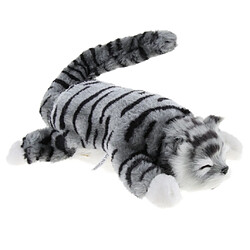 2 Pièces électrique Vilain Chat Roulant En Peluche Modèle Animal Jouet Figure Décor à La Maison