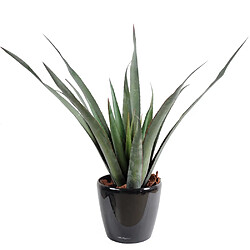 Pegane Plante artificielle haute gamme Spécial extérieur / Aloe artificielle ferox - Dim : 65 x 60 cm