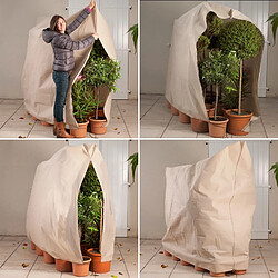 Idmarket Housse d'hivernage pour plante et arbuste 200 x 240 cm pas cher