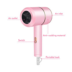 Avis Universal Sèche-cheveux mini-salon professionnel Sèche-cheveux électriques Sèche-cheveux à air chaud/froid Anion 8000 Air Water Ion Sèche outils(Rose)