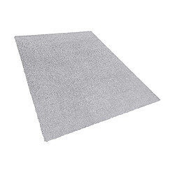 Beliani Tapis gris clair 160 x 230 cm DEMRE