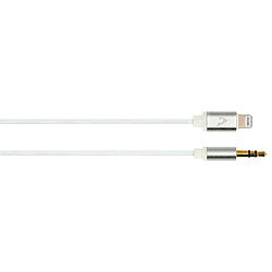 HAMA Câble audio, mini-jack stéréo mâle 3,5 mm - Lightning, 1,0 m