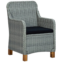 Maison Chic Lot de 2 Chaises de jardin,Fauteuil d'extérieur avec coussins Résine tressée Gris clair -MN65548