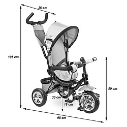 Acheter Toyz TIMMY Tricycle évolutif 3 en 1 avec canne directionnelle Bleu