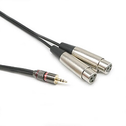 Câble d'Extension Stéréo Mini Jack Audio 3.5mm à Double XLR Femelles pas cher