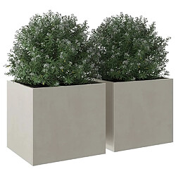 Acheter Maison Chic Lot de 2 Jardinières,Bac à fleurs - pot de fleur argenté 32x30x29 cm acier inoxydable -GKD87750