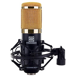 Microphone de chant