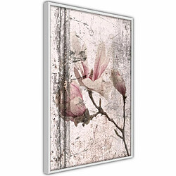 Paris Prix Affiche Murale Encadrée Queen of Spring Flowers III 30 x 45 cm Blanc