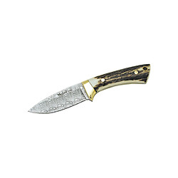 Muela COLIBRI' STAG DAMASCUS INOX 7DAM