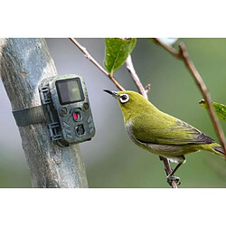 Avis Caméra de surveillance compact technaxx nature wild cam tx-117