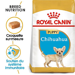 Royal Canin Race Chihuahua Junior