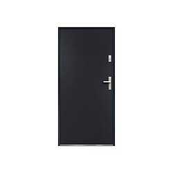 Vente-Unique Porte d'entrée en acier pleine H207 x L100 cm anthracite - poussant gauche - AGUEDA