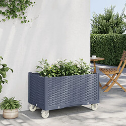 vidaXL Jardinière à roulettes bleu gris 80x50x54 cm PP