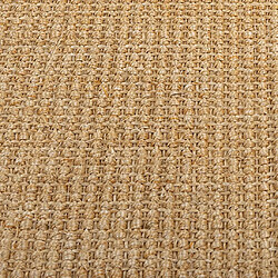 Avis vidaXL Tapis Sisal naturel 100x200 cm