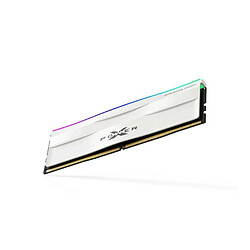 RAM PC