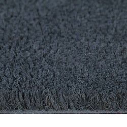 Avis vidaXL Tapis de porte gris foncé 40x60 cm fibre de coco touffeté