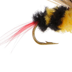 Avis 5Pcs Bumble Bee Nymphe Truite Mouches Pêche à la Mouche Insectes Appâts Mouches Sèches