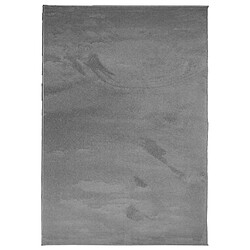 vidaXL Tapis OVIEDO à poils courts anthracite 120x170 cm