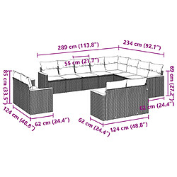 Acheter vidaXL Salon de jardin 12 pcs avec coussins noir résine tressée