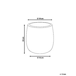 Avis Beliani Cache-pot d 19 cm vert LIVADIA