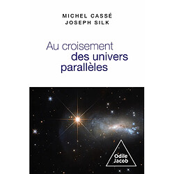 Au croisement des univers parallèles - Occasion