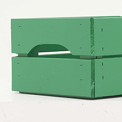 Acheter Pinus Caisse de rangement en pin petit modèle 31 x 23 x 15 cm vert menthe.