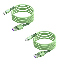 Cables X2 USB Charge Rapide 3A Silicone Vert 2m Pour iPhone 8 / X / XR / 11 / 12 / 13 / SE 2022 Little Boutik®