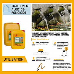 Traitement curatif et désincrustant SIKA Stop tout en 1 - 5L