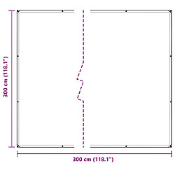 Acheter vidaXL Bâche transparente avec œillets 3x3 m polyéthylène