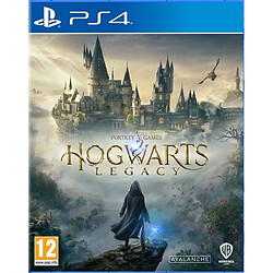 Warner Bros. Games Hogwarts Legacy L Heritage de Poudlard