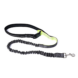 Avis mains libres chien plomb marche ceinture de course jogging taille sac pet leash noir