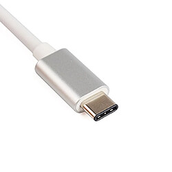 Avis GUPBOO Adaptateur USB 3.1 USB-C vers DisplayPort UHD,JL2699